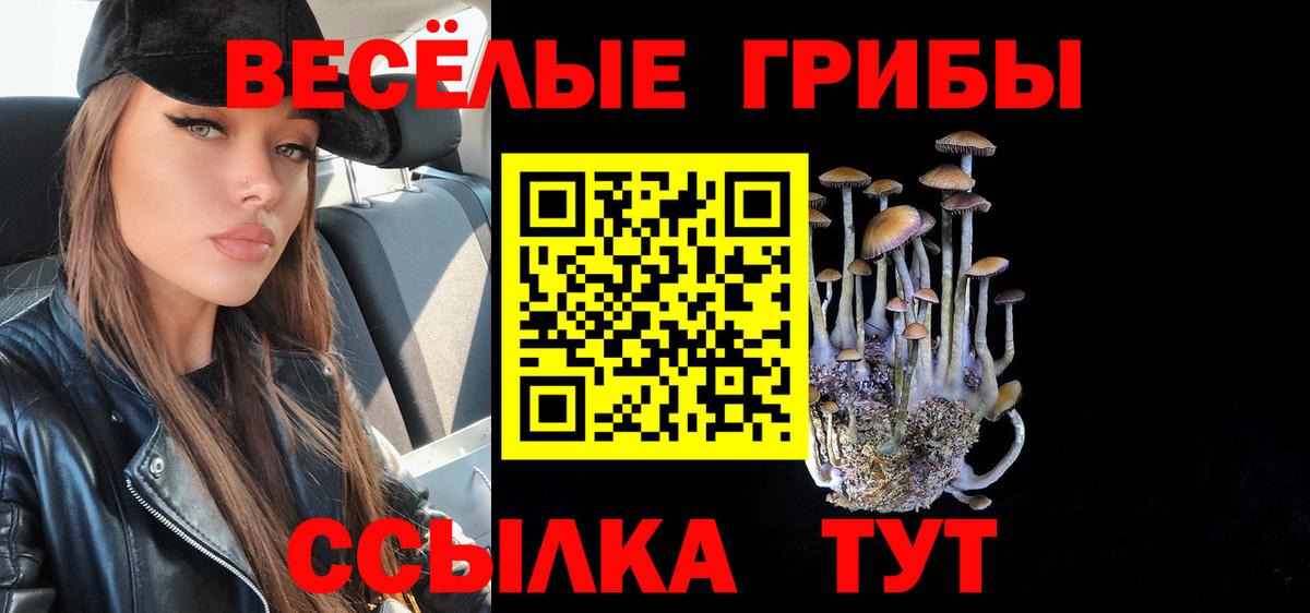 Галлюциногенные грибы Psilocybine cubensis  Вход с VPN  Комсомольск-на-Амуре 